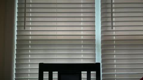 americnbarbie online show from September 11, 11:54 am