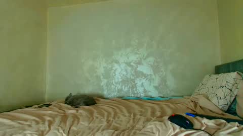 Nomyx  OF check online show from October 13, 6:43 pm