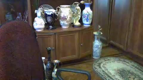 ElenaZed online show from September 19, 8:24 am