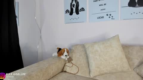 Yiss online show from February 9, 7:38 am