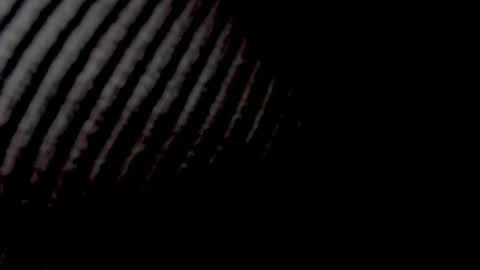 Elly online show from April 27, 11:29 am