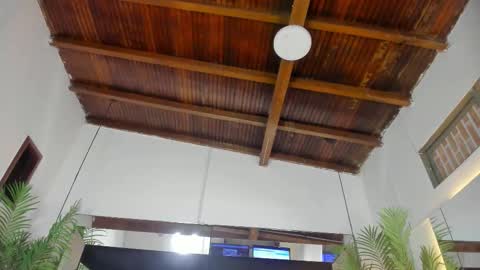 Emily  online show from February 26, 10:58 am