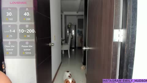 independet model online show from September 16, 12:51 am