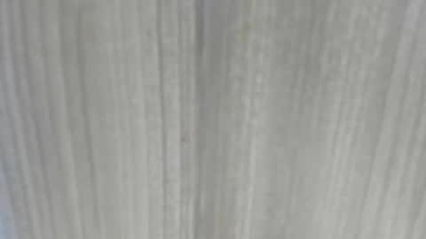 emycarver09 online show from February 1, 11:31 am