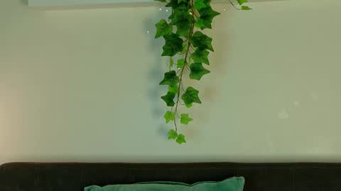 EVA DAEMON  online show from February 16, 12:27 pm