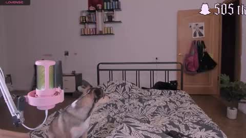      online show from September 12, 8:38 pm