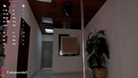 evelyn evelyn online show from October 18, 8:43 pm