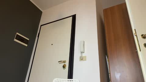 Gattino online show from April 20, 6:22 pm