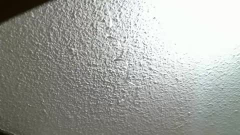 FIERYWOMAN online show from October 7, 4:33 pm