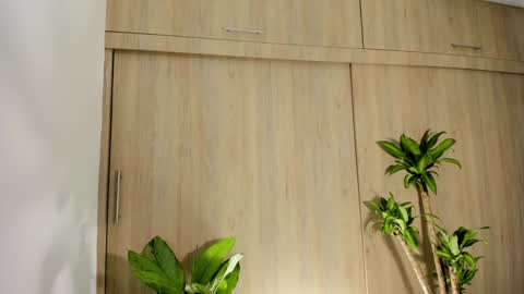 filletatouee online show from November 7, 11:53 pm