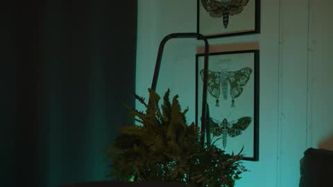 Diyana online show from October 4, 9:52 pm