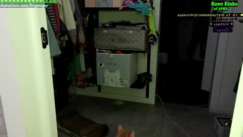   Jaywise Frogfoot  online show from April 23, 7:16 pm