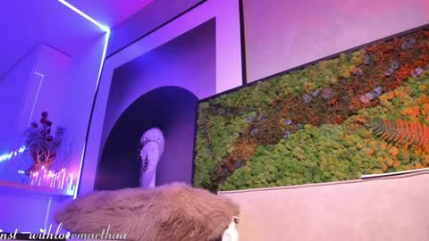   online show from March 13, 11:39 pm