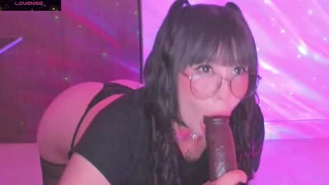 PROXIMO SHOW DICIEMBRE 3   NEXT SHOW DECEMBER 3    online show from February 19, 11:36 pm