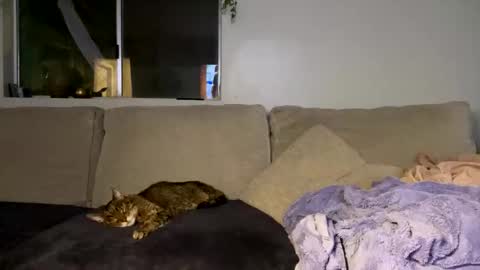 GoddessMayvn online show from October 16, 6:05 am