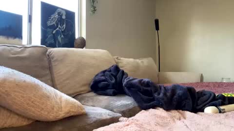 GoddessMayvn online show from January 19, 8:41 pm