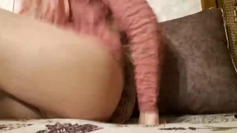 gothicrose4 online show from November 13, 11:31 am