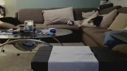 scandixxxs Cam online show from March 4, 3:13 am