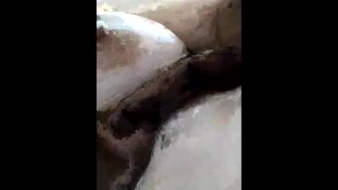 hachi_sweetbabie online show from January 19, 9:49 am