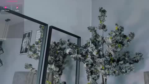 Hailey online show from November 13, 11:31 am