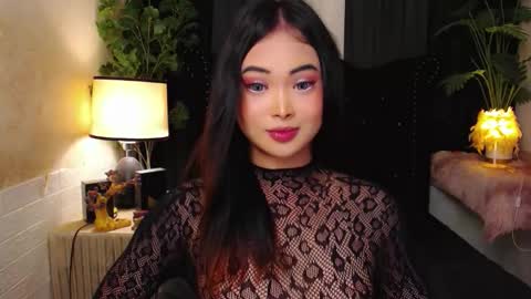 haily online show from November 11, 3:46 am