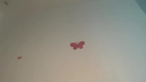 Iris online show from April 14, 9:15 pm