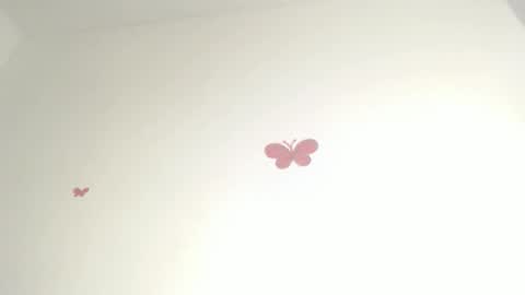 Iris online show from February 18, 8:52 pm