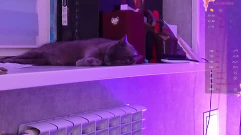 Aysi online show from March 6, 3:07 pm