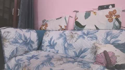 Parul online show from January 16, 10:00 am