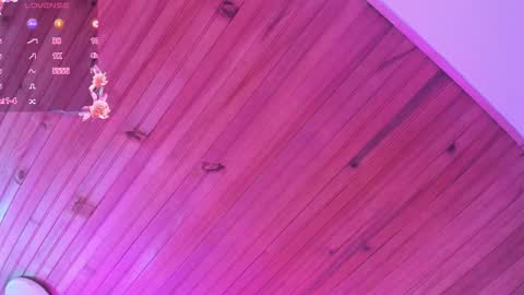 irisbeel online show from March 3, 3:56 am