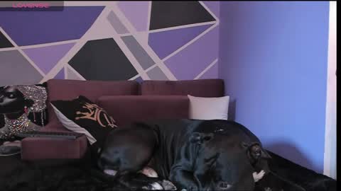 Rebecca online show from June 6, 7:03 am