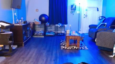 Bella Bloom online show from February 2, 6:15 am