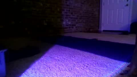 MaggieJane online show from May 14, 3:56 am
