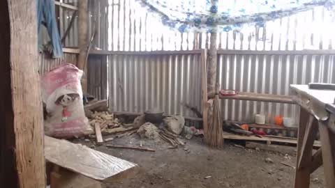 jane online show from January 8, 3:21 am