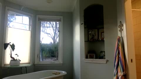 janicepepper online show from March 2, 12:53 am