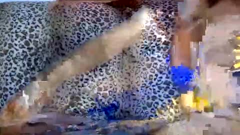 jasmingirasolxxx online show from June 9, 1:49 am