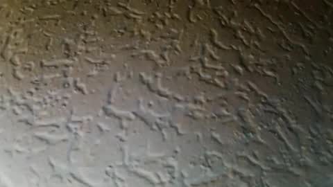 jojo811301 online show from January 9, 6:51 am