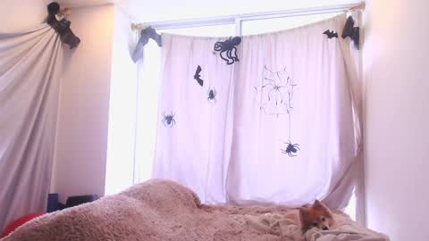 kendall online show from October 22, 6:02 pm