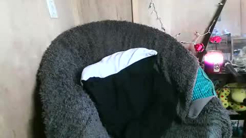 Kennedy Nova  online show from December 29, 6:49 pm