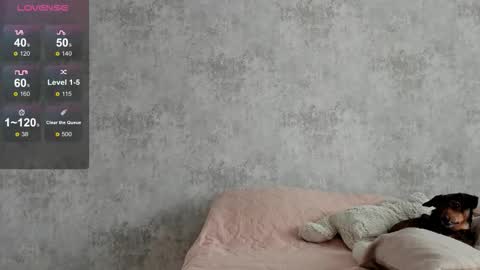 Catherine online show from November 15, 4:24 am