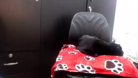 --. .-          -. .-- online show from February 10, 3:42 am