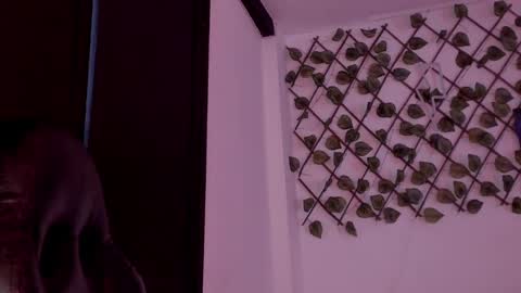 Kora Red online show from February 5, 2:31 pm