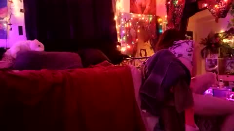 Laci online show from October 7, 2:16 am