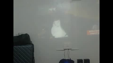 larvy12 online show from March 2, 12:56 pm