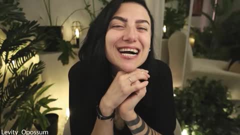 Levity online show from February 12, 12:12 am