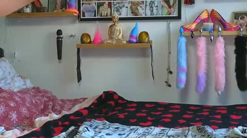 Lexi und Lex online show from March 5, 8:00 am