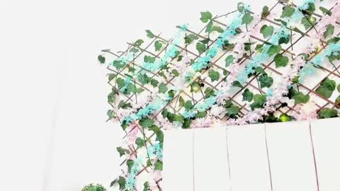 Gabrielle online show from September 10, 10:26 am