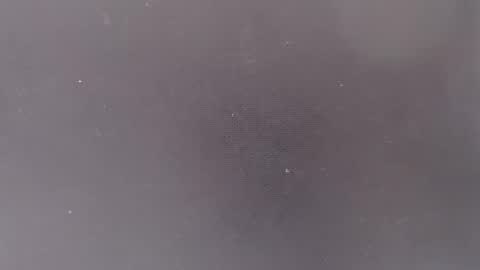 liiz5 online show from March 9, 7:28 pm