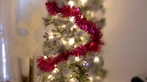 Rebecca online show from January 7, 8:56 pm