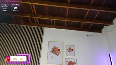 Sofia online show from November 5, 12:54 pm